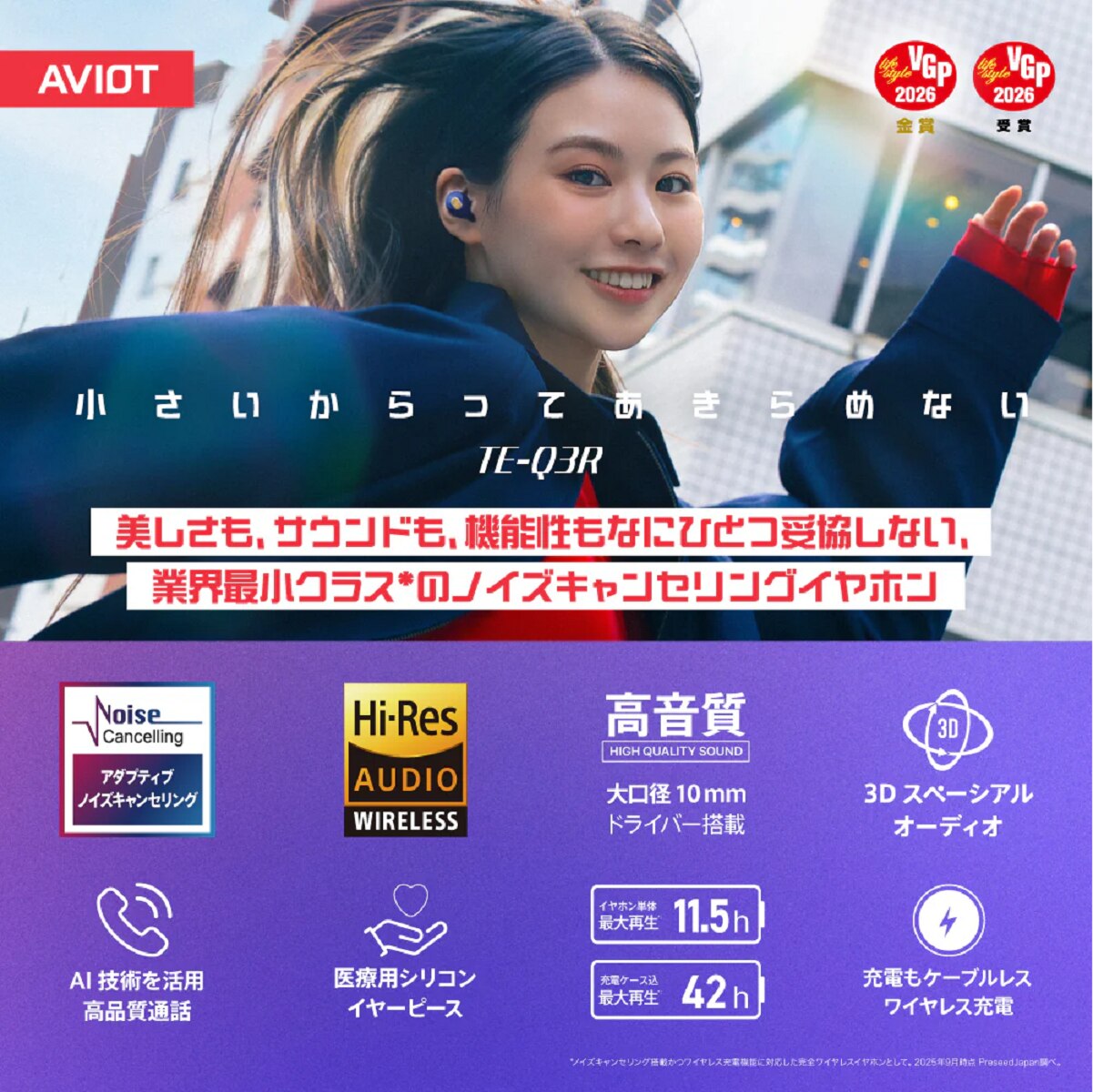 AVIOT TE-Q3R ANC Earphone