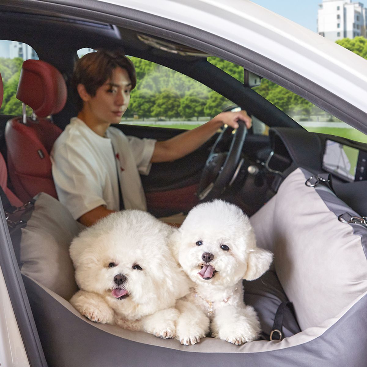 Barbichon 寵物床 寵物汽車安全座椅