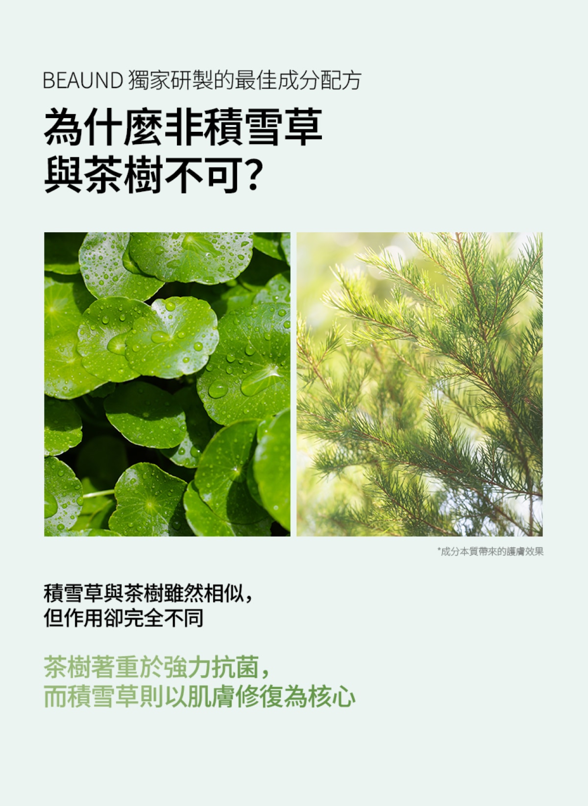 Beaund Hiffect Madeca 茶樹濃縮精華液
