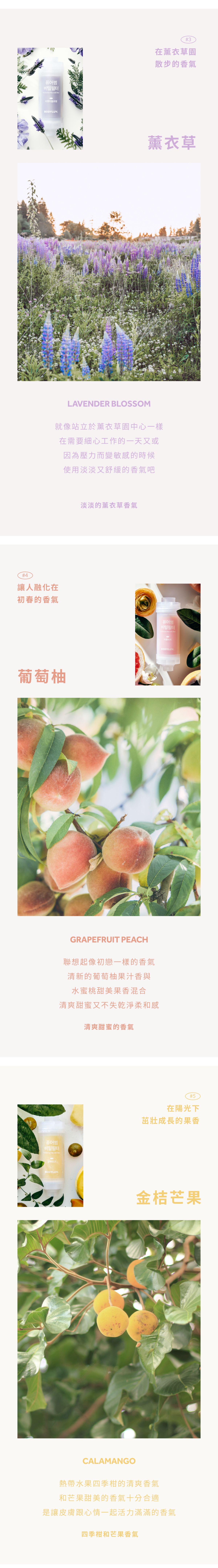 Bodyluv 香氛濾芯 純淨完美蓮蓬頭專用