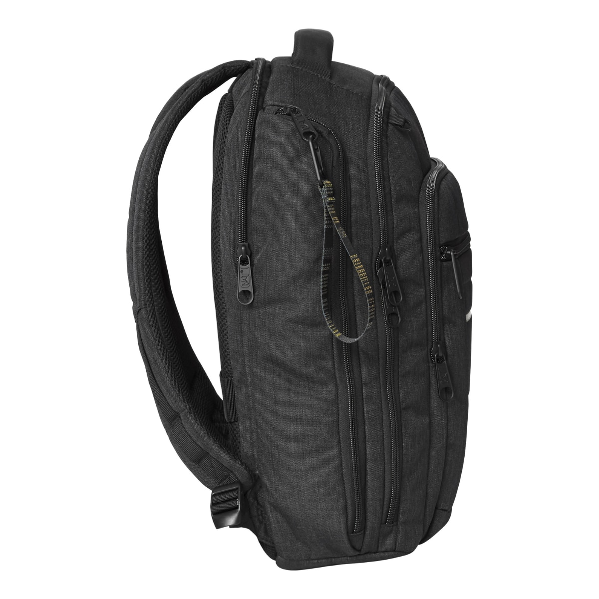 CAT B. Holt Business Backpack