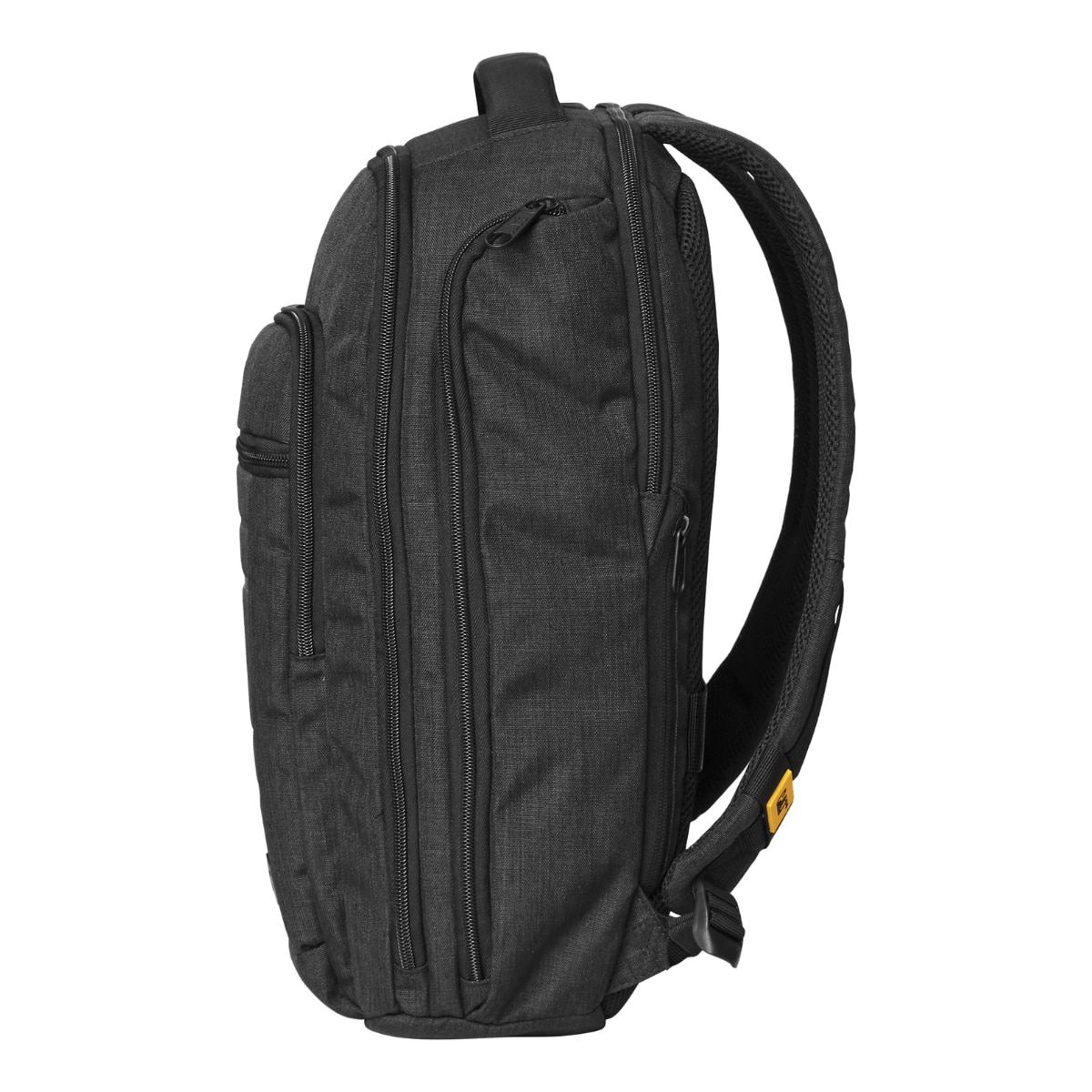 CAT B. Holt Business Backpack