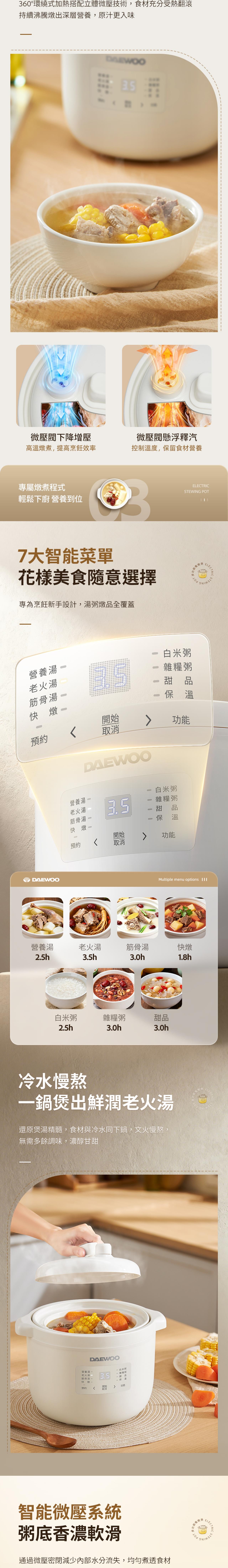 DAEWOO DY-DZ08 Electric Stewing Pot (2.5L)