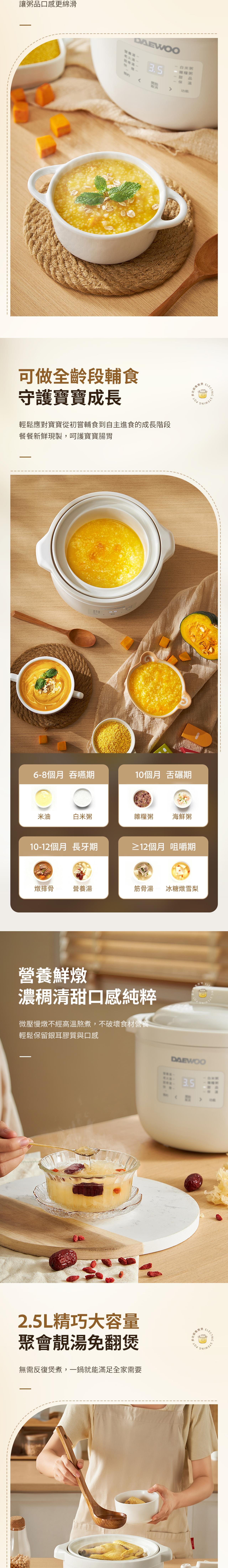 DAEWOO DY-DZ08 Electric Stewing Pot (2.5L)