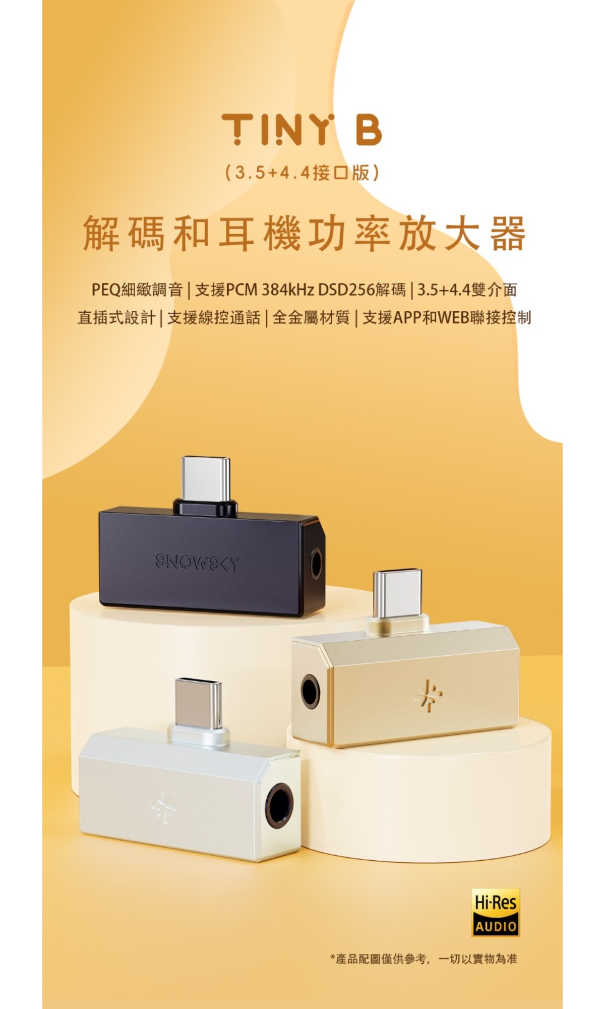 FiiO Snowsky TINY B (解碼和耳機功率放大器)