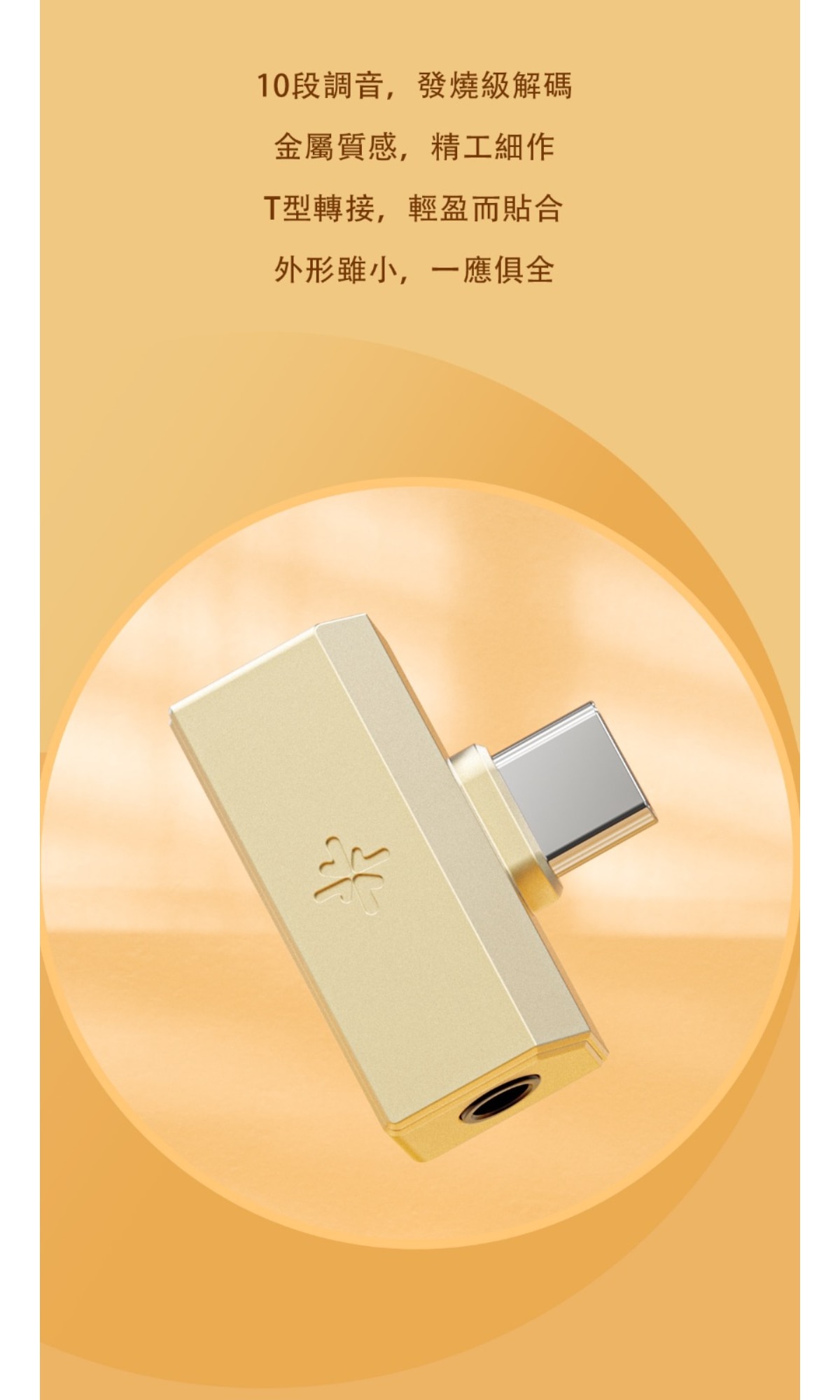 FiiO Snowsky TINY B (解碼和耳機功率放大器)