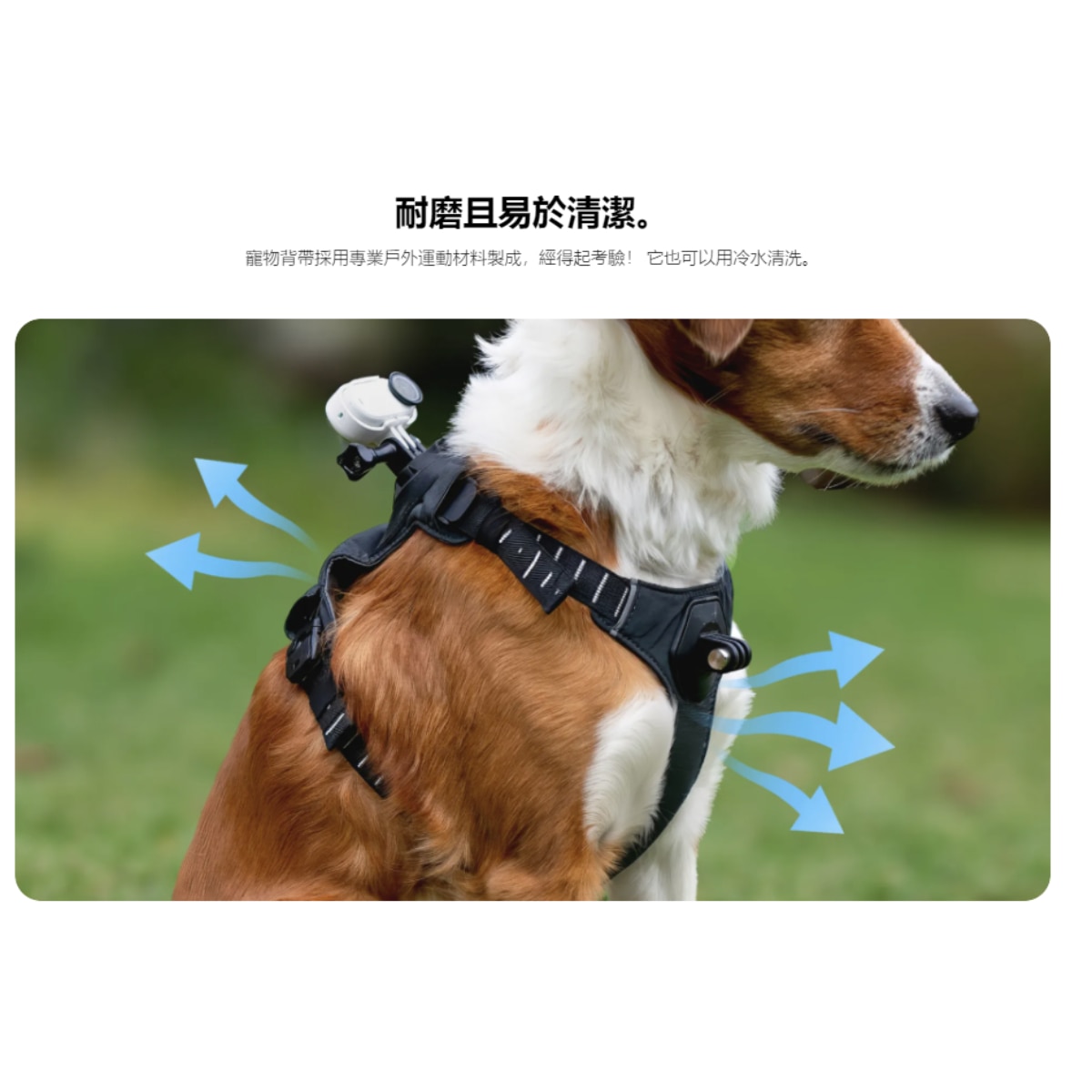 Insta360 Pet Harness Mount