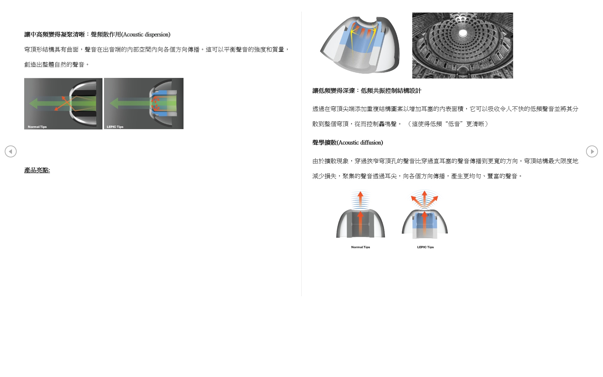LEPIC boost eartips (Size L / 2 pairs)
