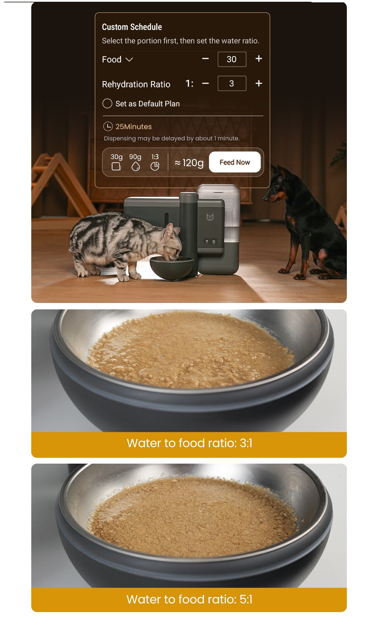 Neakasa Riko Smart Wet Food Feeder