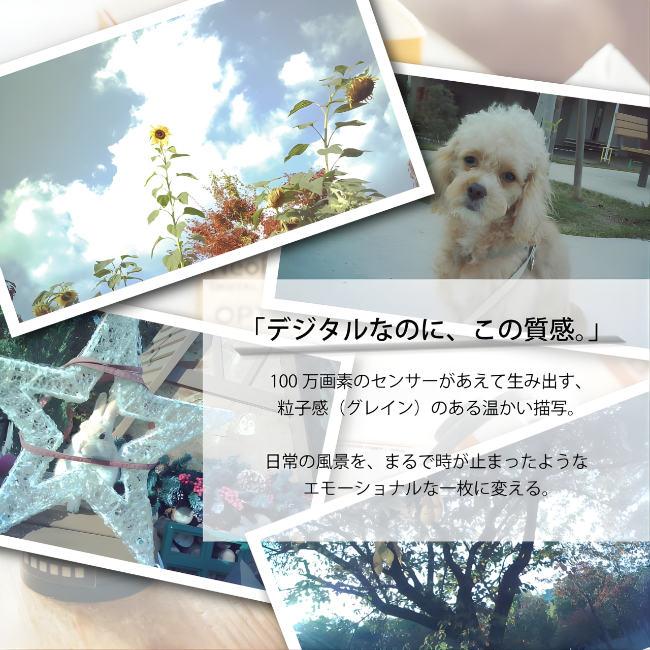 OPT NeoFilm 100 復古數碼相機