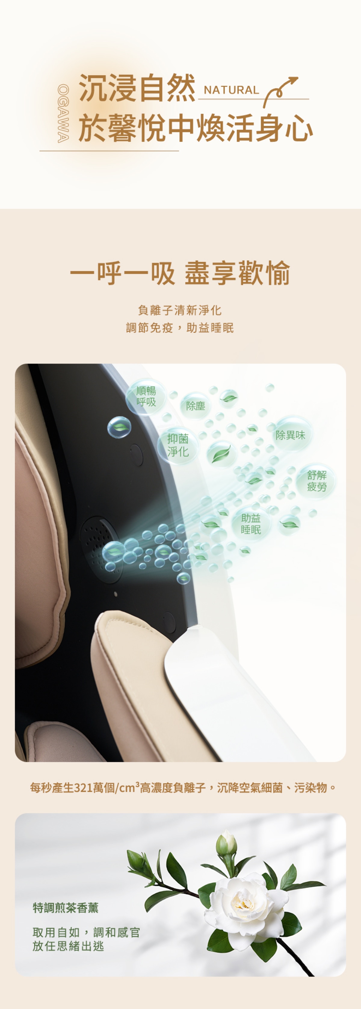 Ogawa 舒逸椅 (OG7208 Pro-HK-GY)