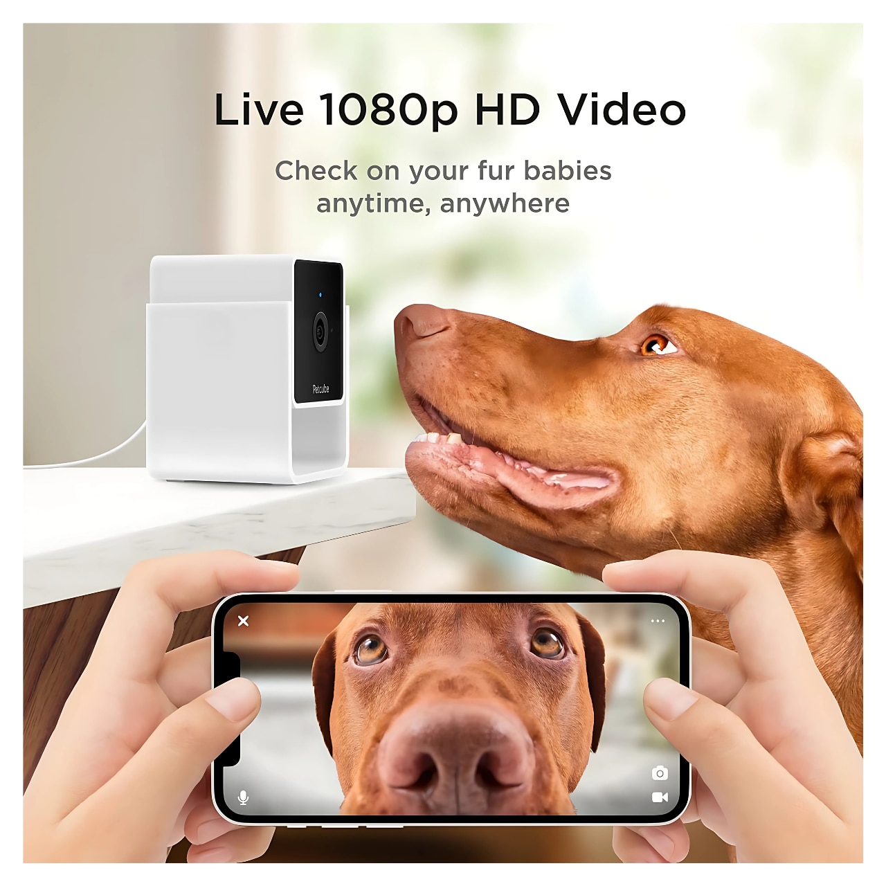 Petcube Cam Indoor Pet Smart Camera