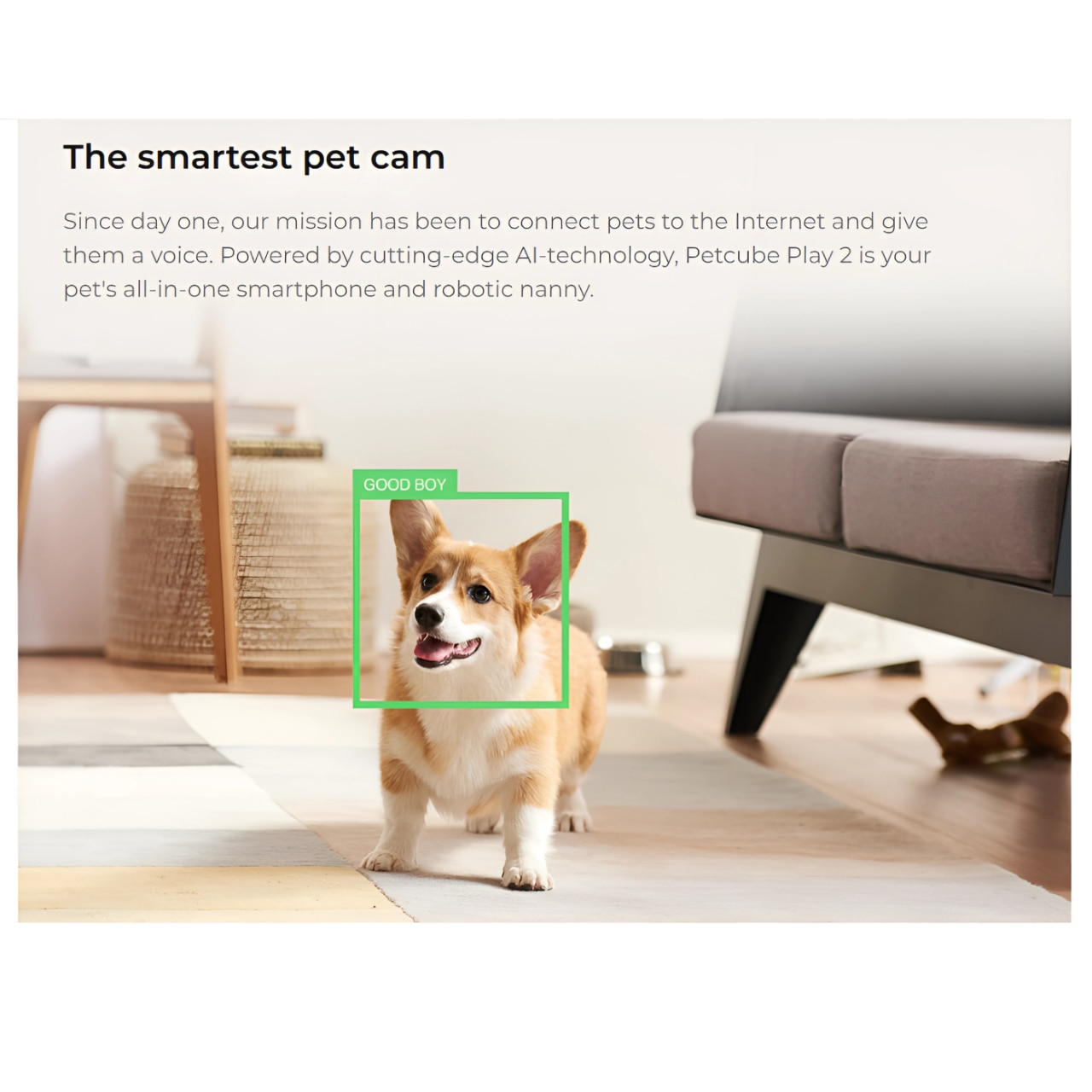 Petcube Play 2 Pet Smart Camera