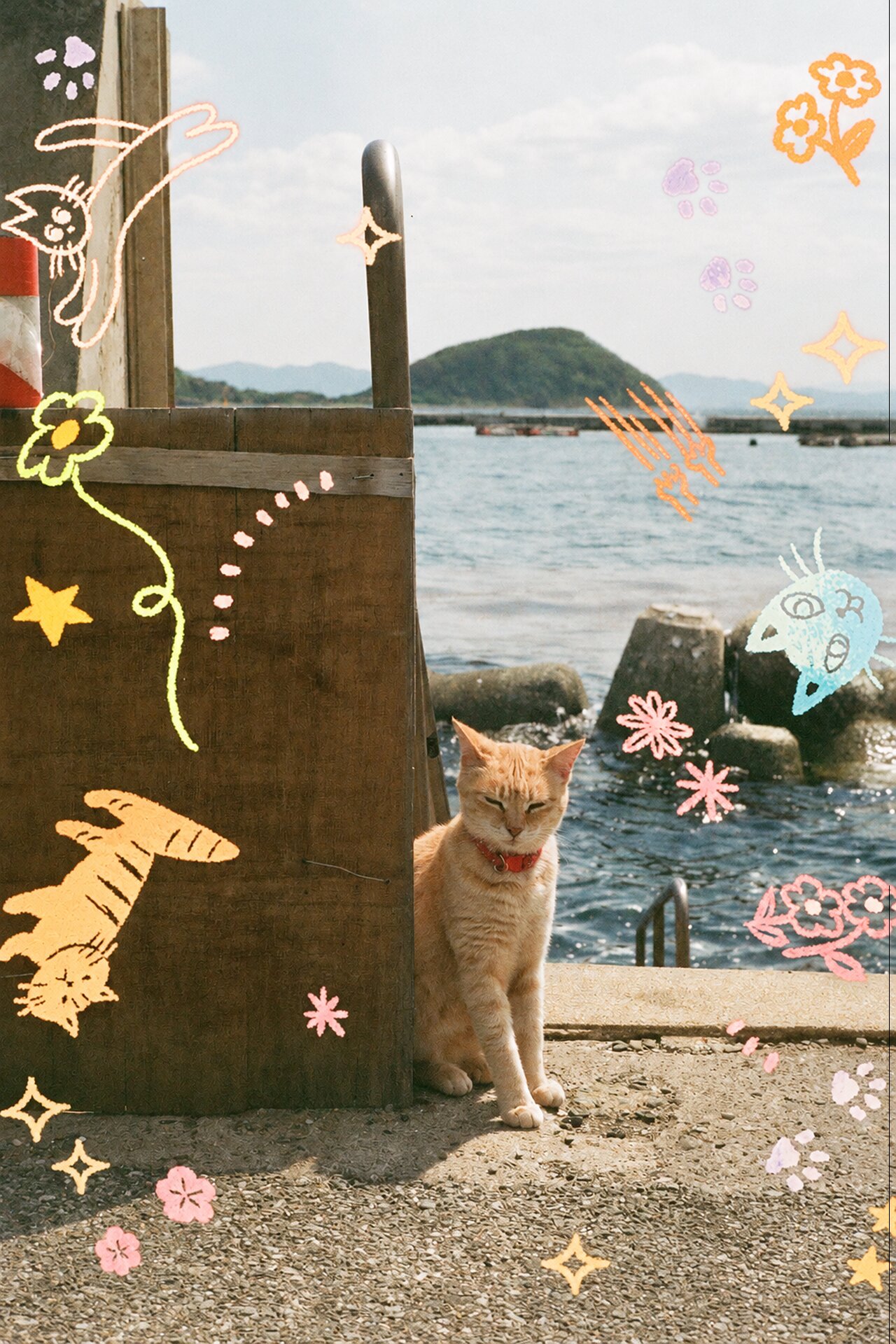 RETO Cat'cha 400 35MM COLOR NEGATIVE FILM 27EXP