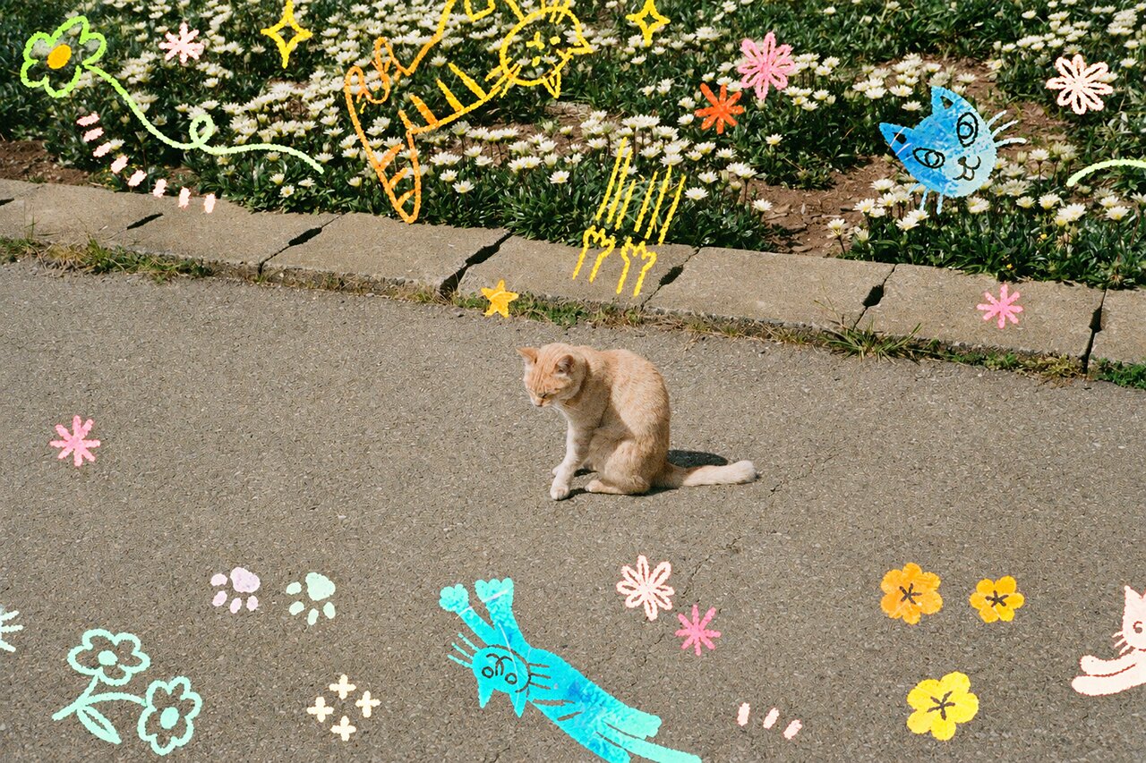 RETO Cat'cha 400 35MM COLOR NEGATIVE FILM 27EXP