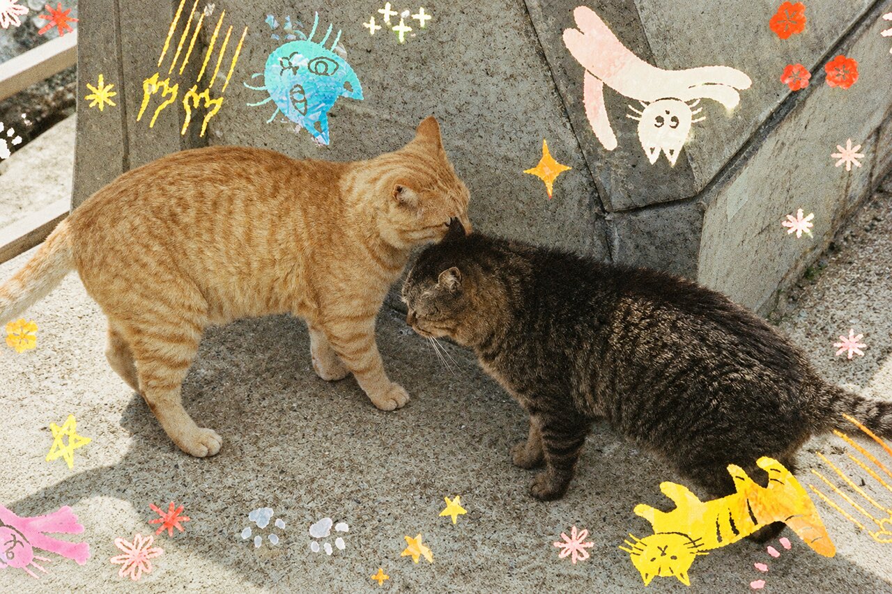 RETO Cat'cha 400 35MM COLOR NEGATIVE FILM 27EXP