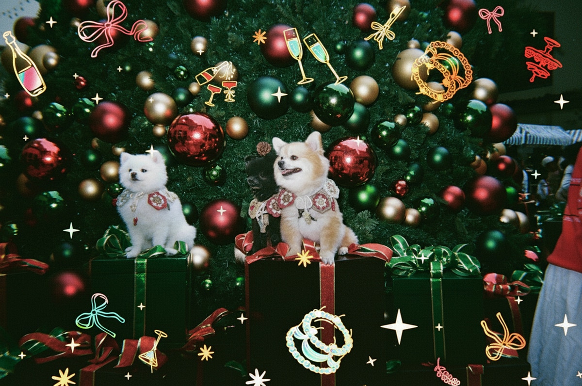 RETO Cheers 400 特效菲林即棄相機27張菲林