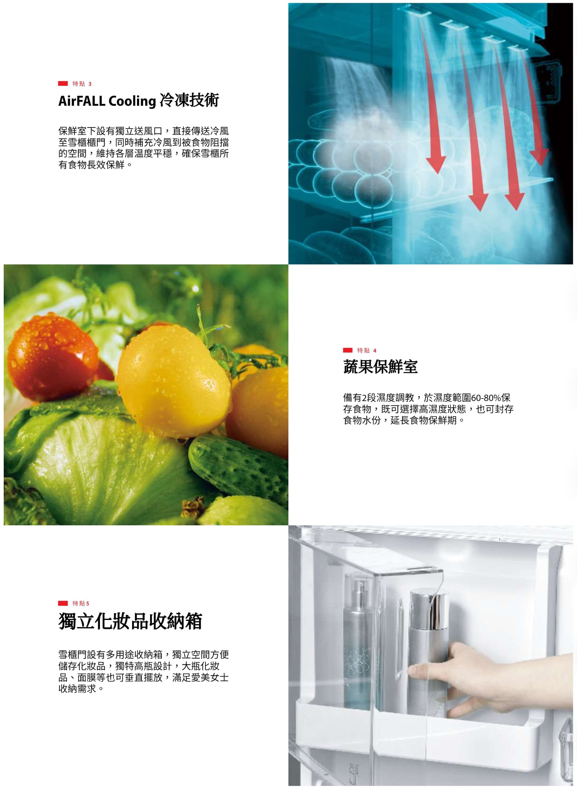 TOSHIBA 東芝 GR-RT416WE-PMA(06) 313L 變頻上置式雙門雪櫃 (包拆箱埋位)