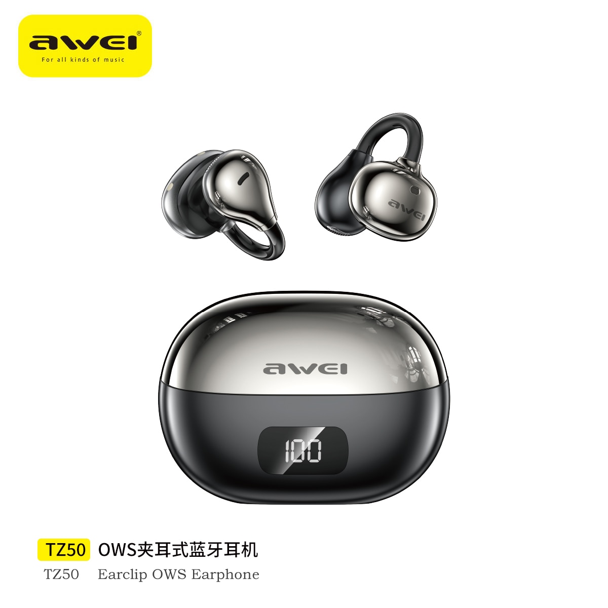 awei TZ50 Headphone
