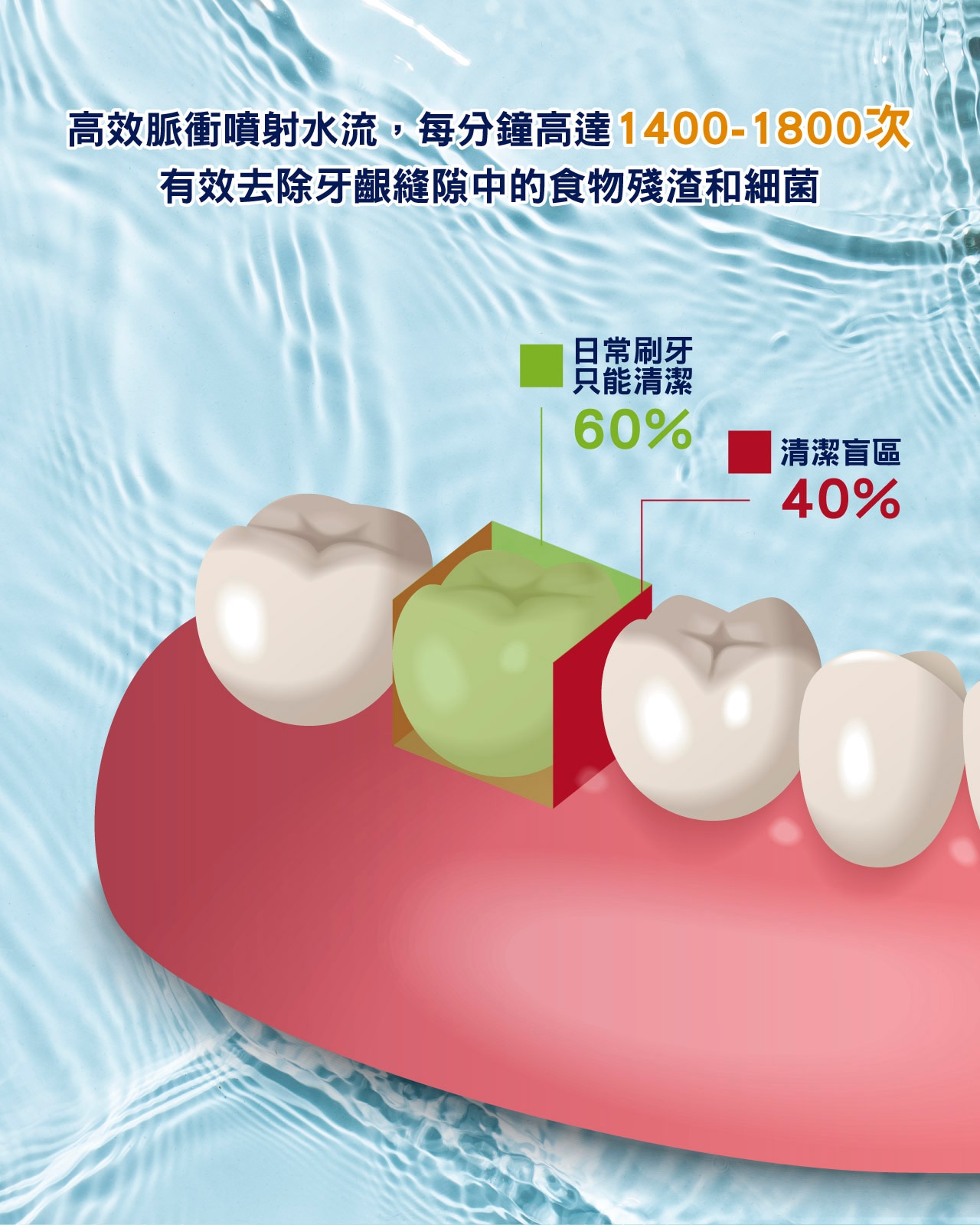 ecHome WF300 手提水牙線