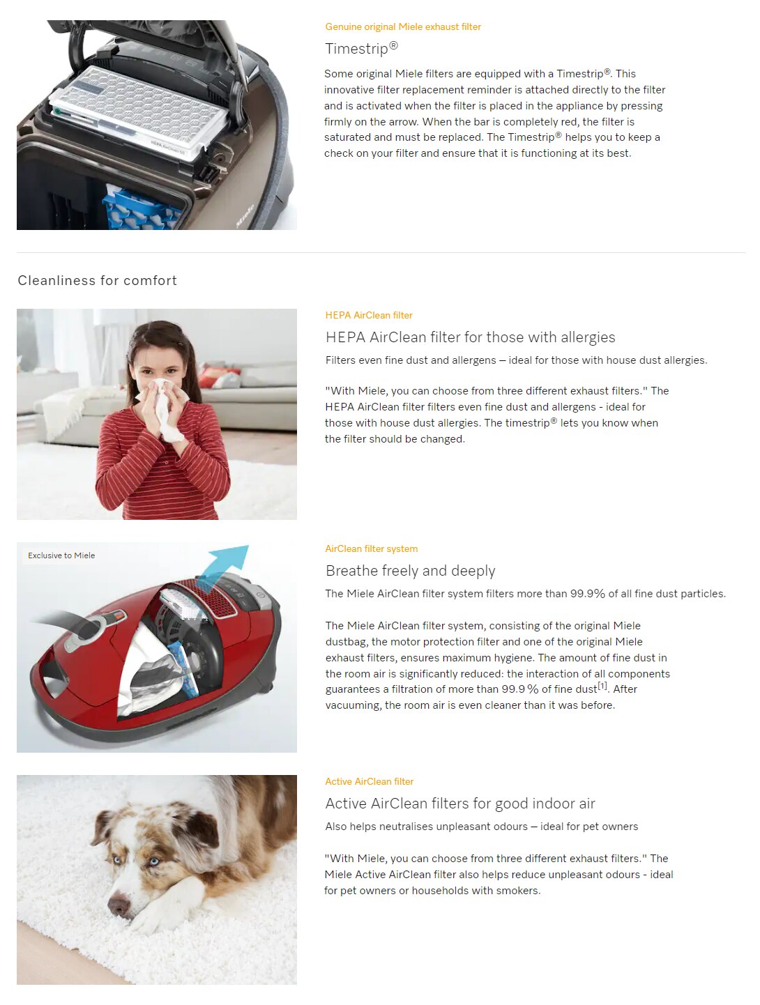 MIELE SF-HY60 Hygiene AirClean Filter