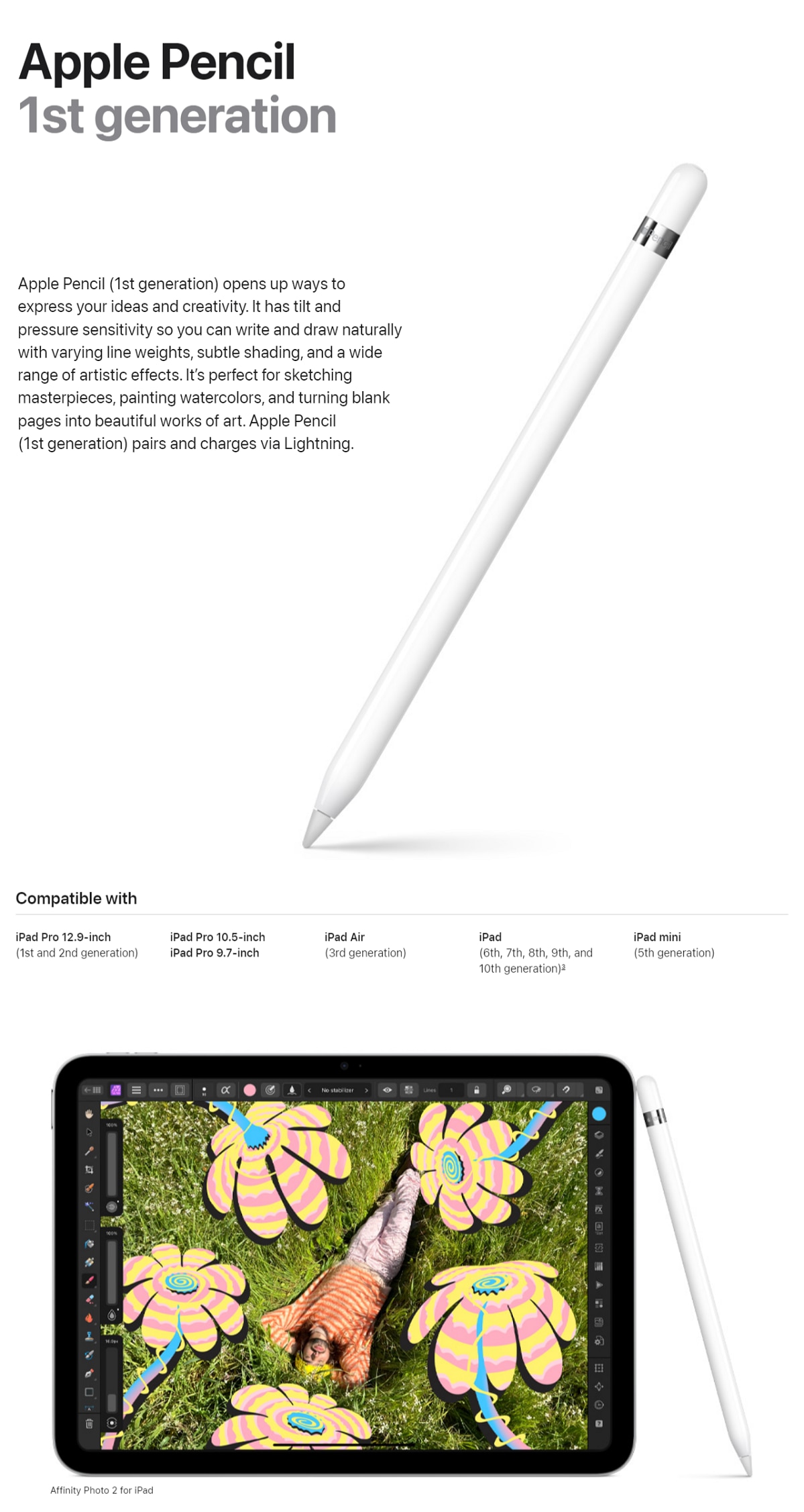 APPLE Pencil (1st Generation) - 2022 Version