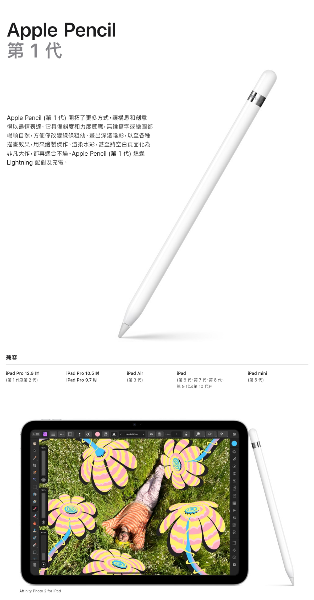 APPLE Pencil (第 1 代) - 2022版