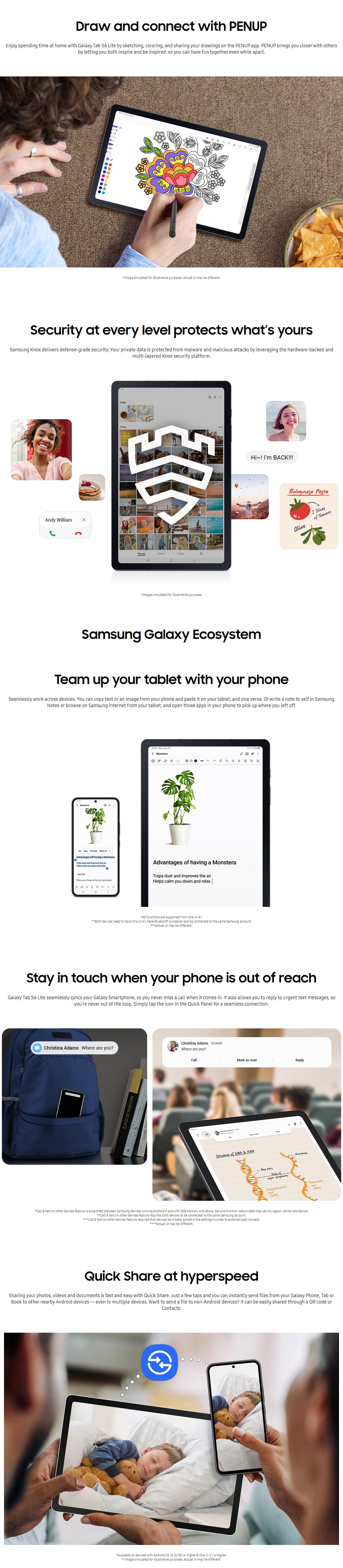 SAMSUNG Galaxy Tab S6 Lite (2024 Edition) Tablet