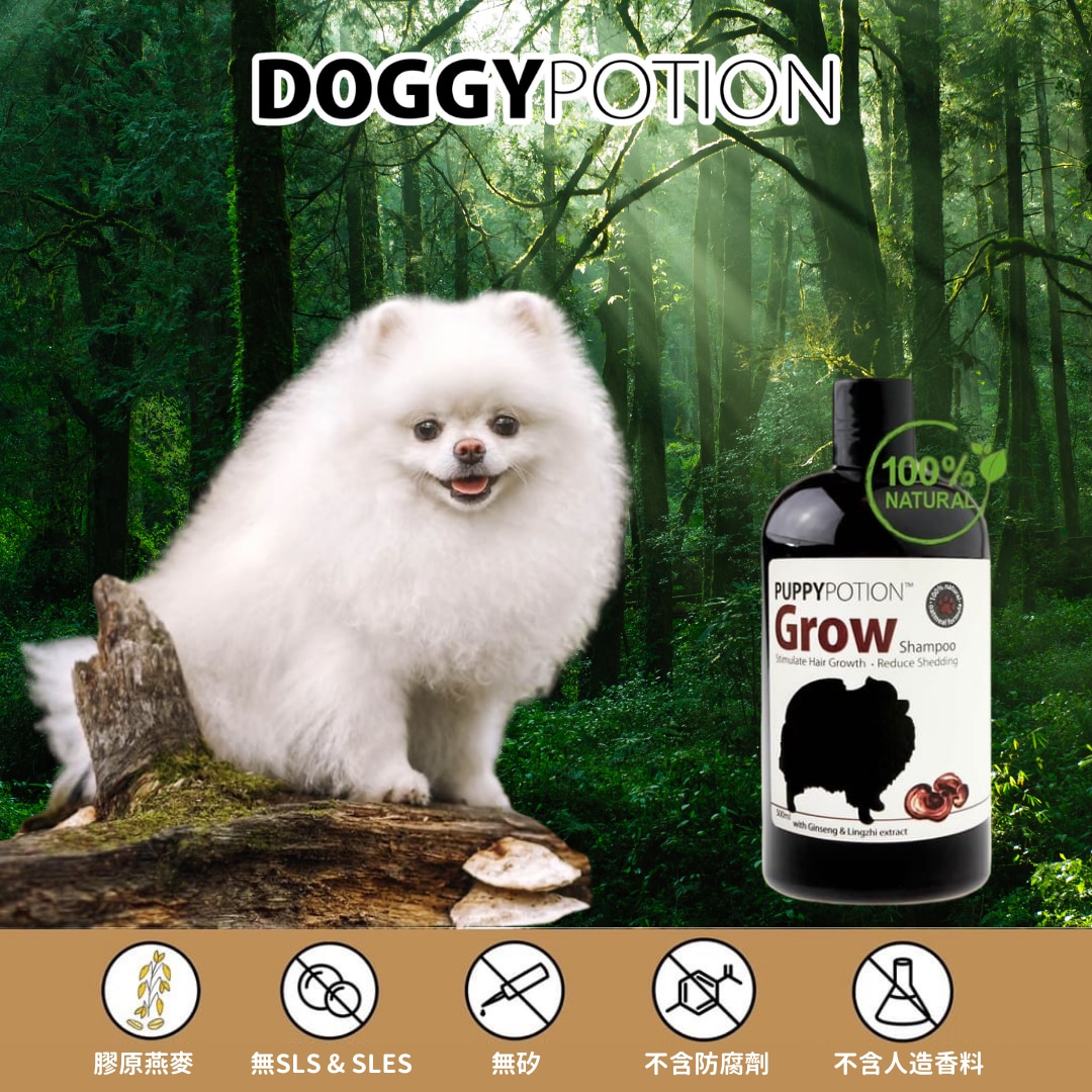 DOGGY POTION 多功能地板清潔劑 1000ml