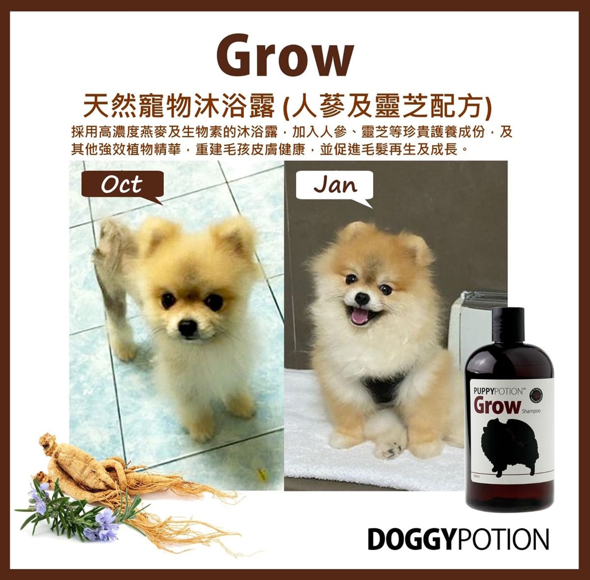 DOGGY POTION 多功能地板清潔劑 1000ml