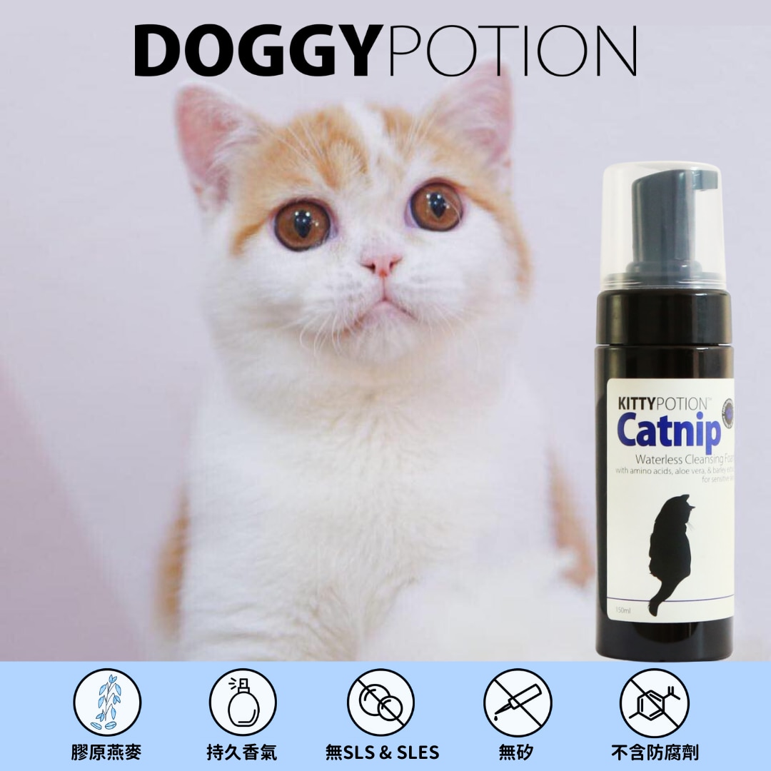 DOGGY POTION CATNIP 貓貓免沖洗潔毛泡沫 (貓薄荷配方) 150ml