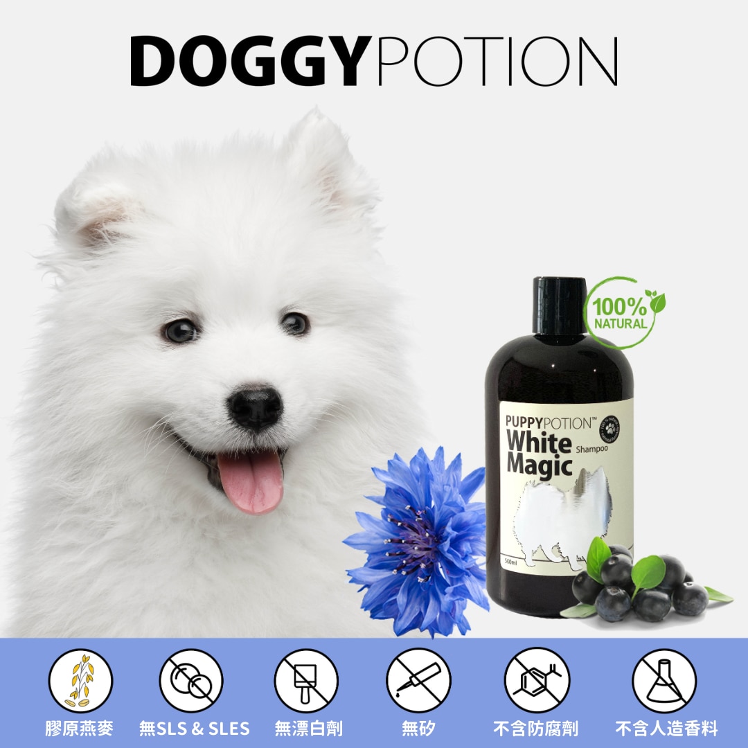 DOGGY POTION 白毛專用燕麥沐浴露 500ml