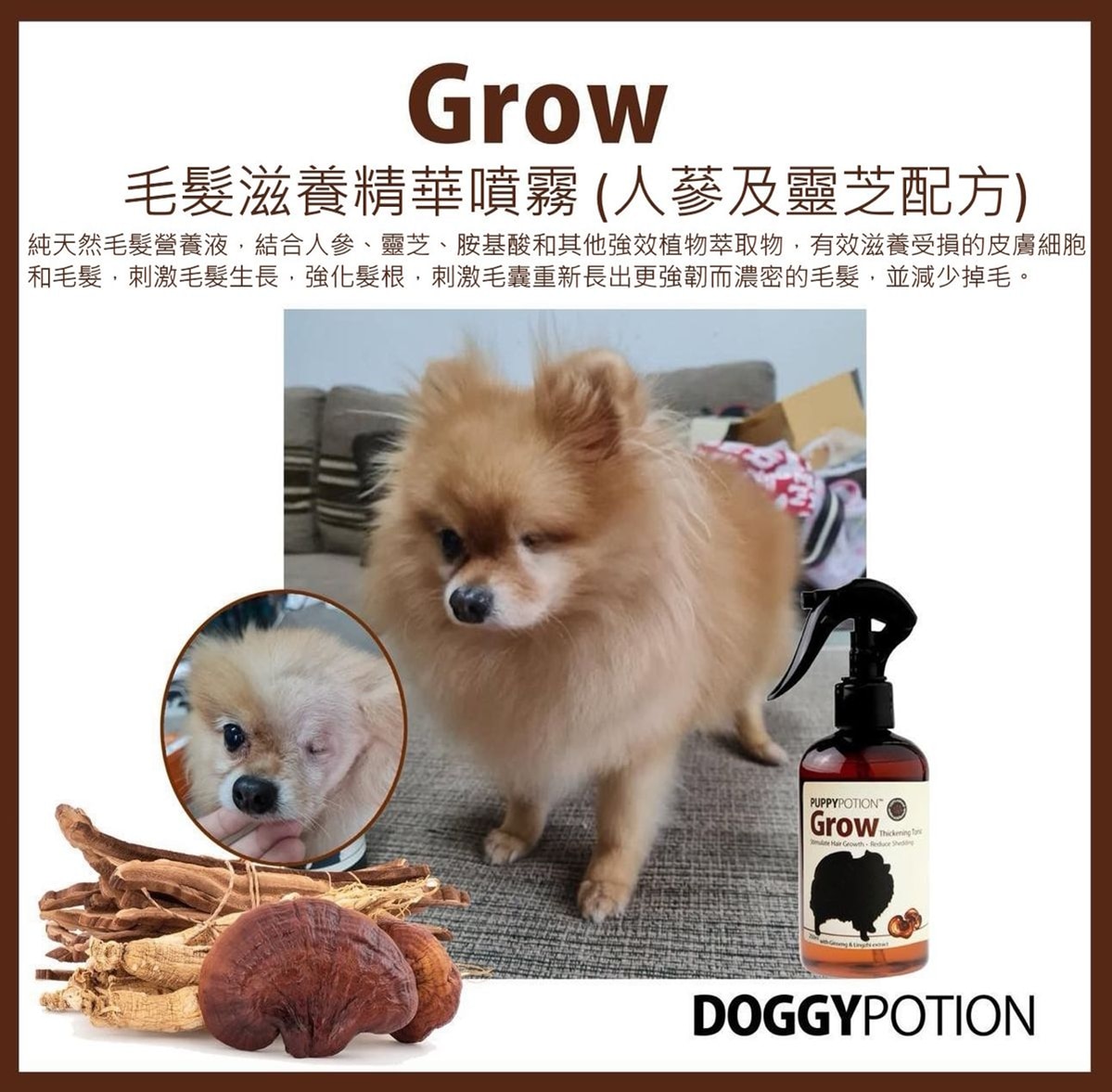 DOGGY POTION GROW 毛髮滋養精華噴霧 (人蔘及靈芝配方) 250ml